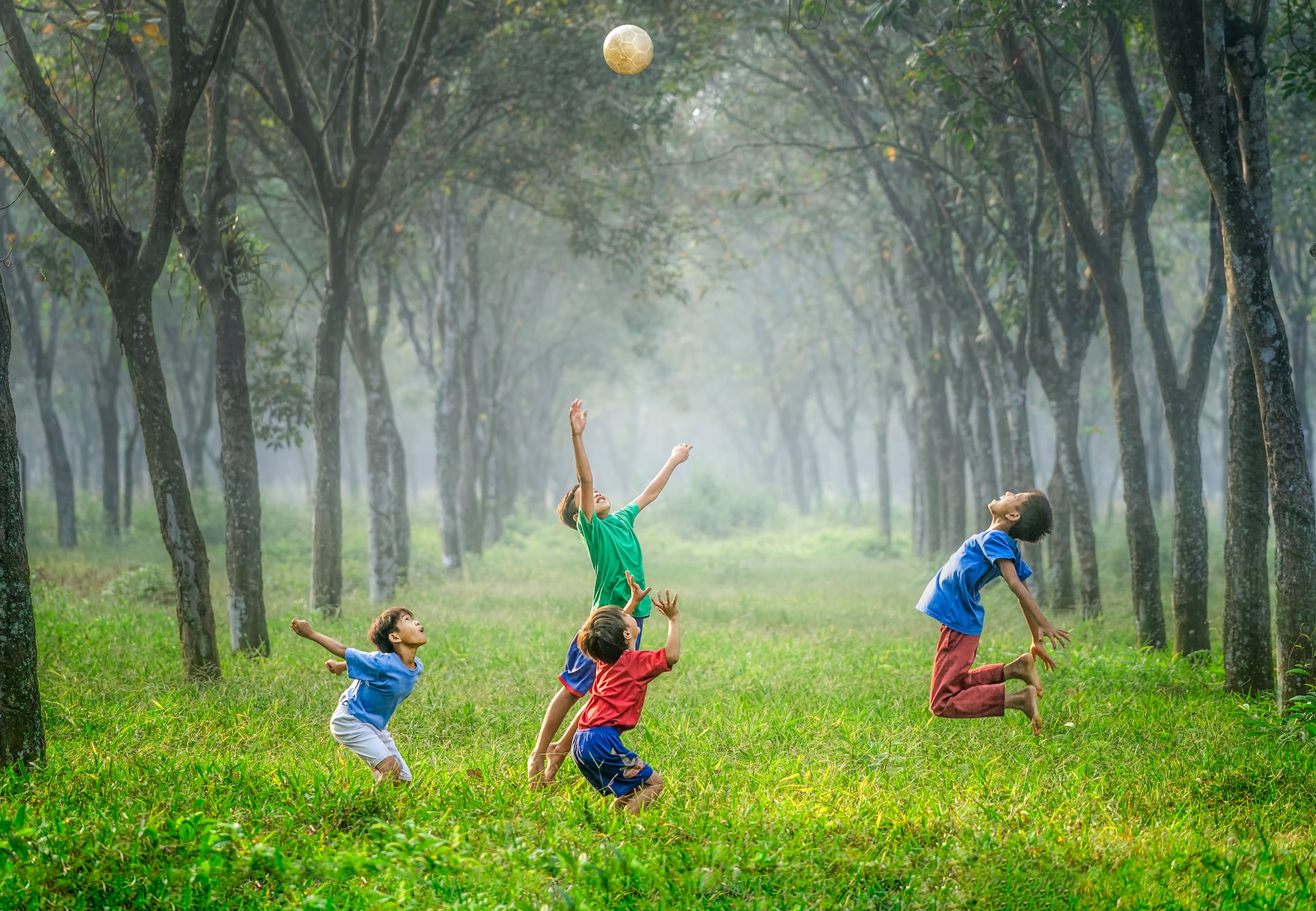 Juegos en familia