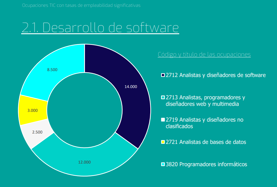 software developers