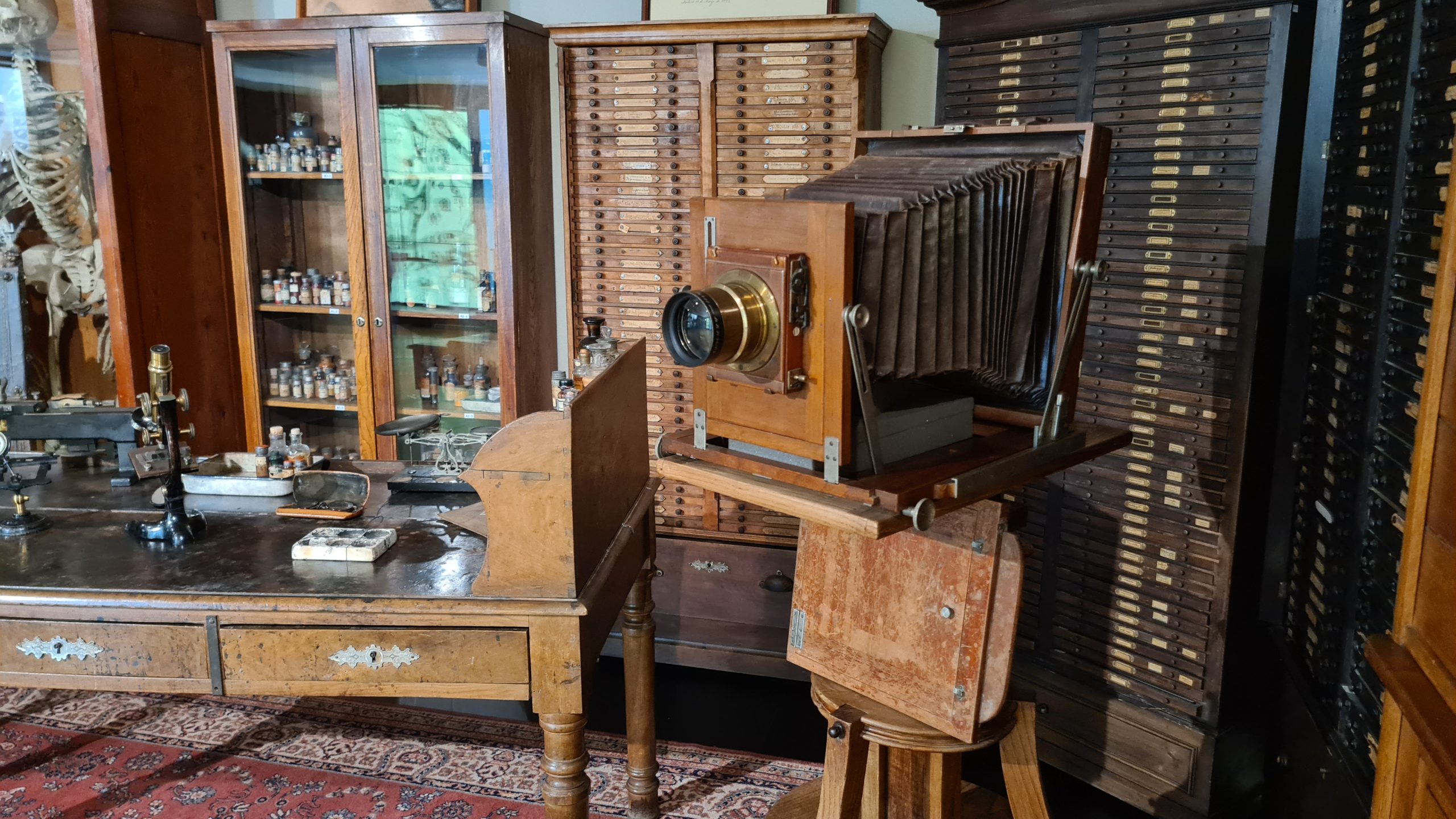 Museo de Ciencias Naturales